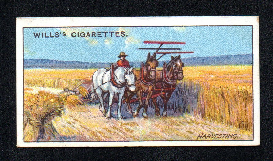 HARVESTING IN AUSTRALIA 1925 WILLS CIGARETTES AUSTRALIAN OVERSEAS DOMINION #41