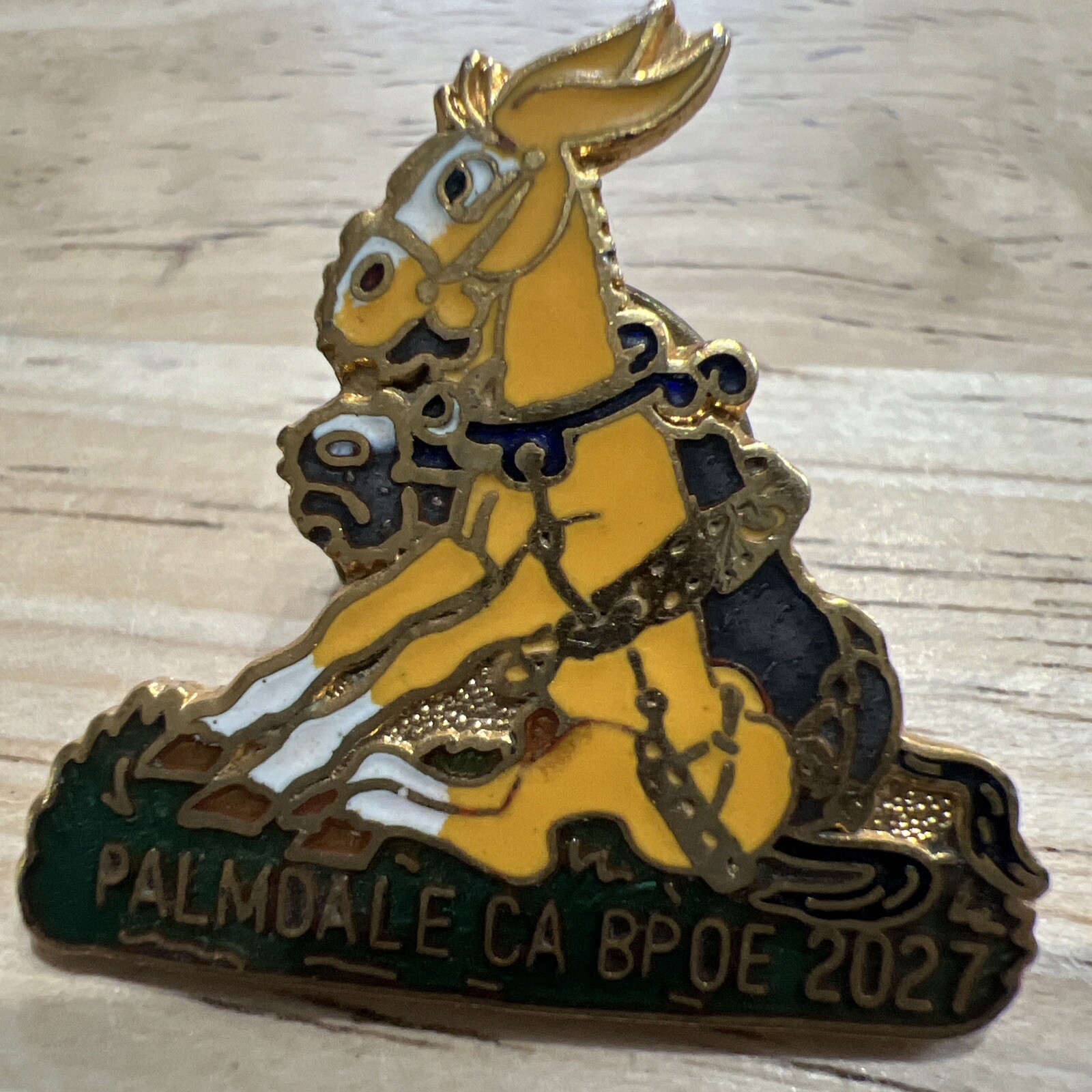 Palmdale CA BPOE 2027 Lapel Pin 