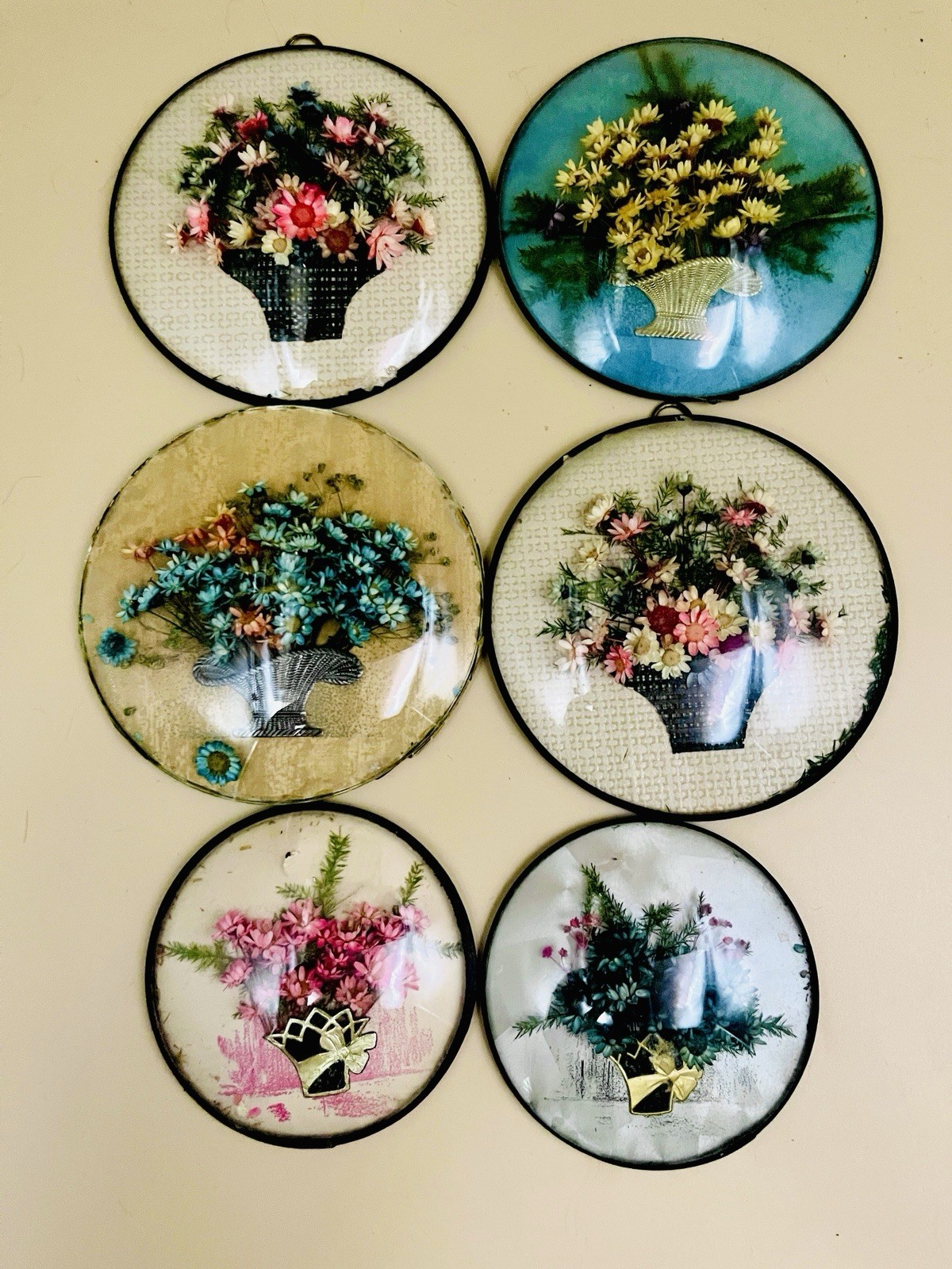 Lot 6 Atq Peter Watsons Studio Dried Flowers In Convex Glass 3.5” And 4.5” Round