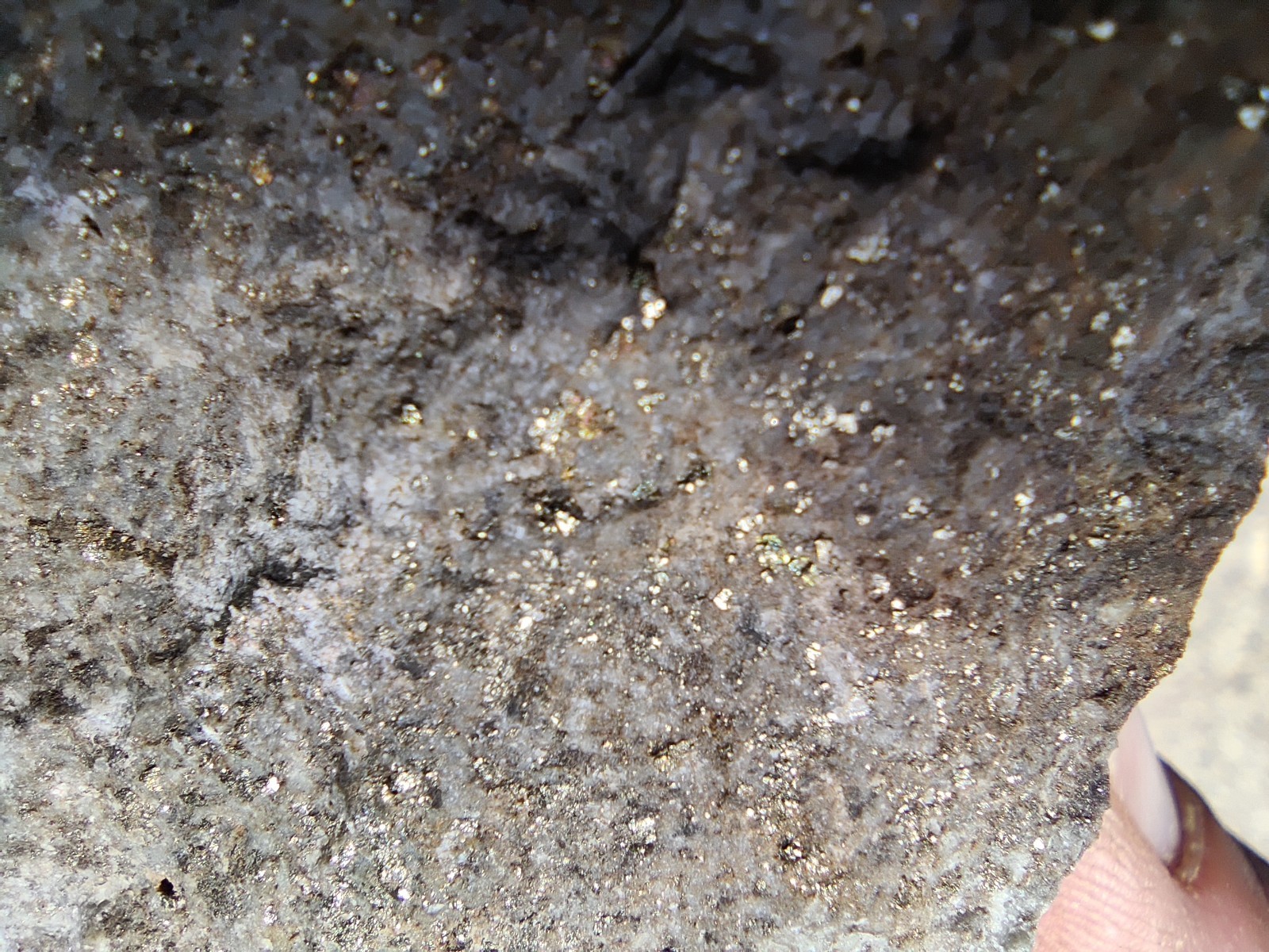 Cripple Creek Gold Ore Calaverite – 25lb / 50lb / 100lb Bulk Lot