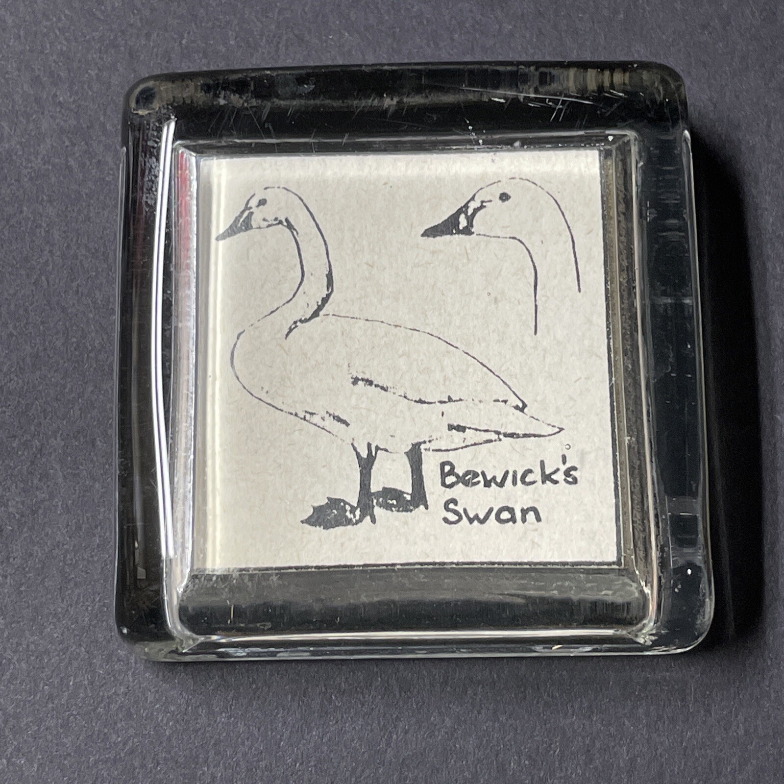 Vintage 1960s Bewick\'s Swan Tundra Swan Glass Paperweight Desktop Art