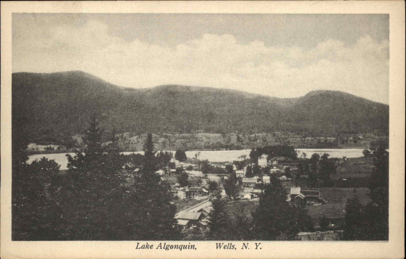 Wells New York NY Lake Algonquin Bird\'s Eye View c1920s-30s Postcard