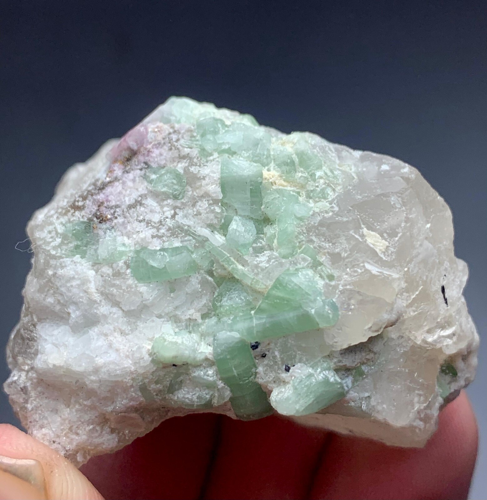 212 CRT Tourmaline crystal with Quartz specimen  From Afghanistan