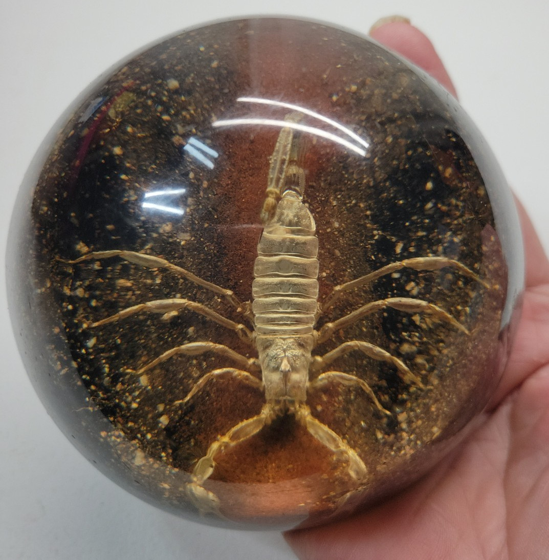 VTG MCM Lucite Scorpion Dome Paperweight / Desktop Decor 