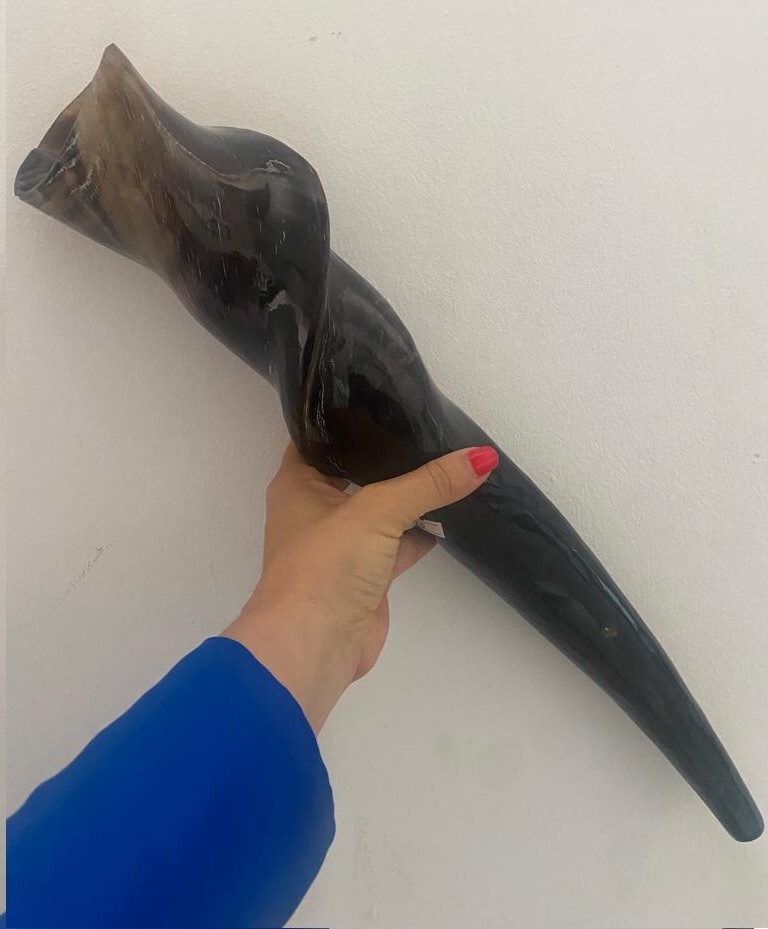 Huge Polished Eland Horn Shofar 20\'\' (50cm) Kosher From Israel BEST PRICE Huge Polished Eland Horn Shofar 20\'\' (50cm) Kosher From Israel BEST PRICE