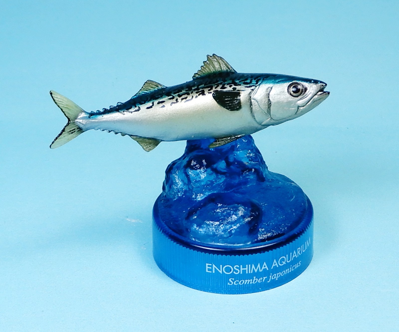 Kaiyodo Enoshima Aquarium Pacific chub mackerel bottle cap mini Figure US seller