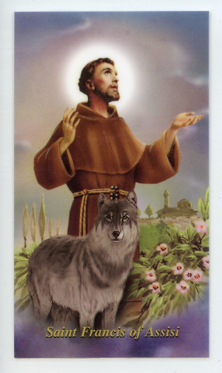 ST. FRANCIS OF ASSISI - Laminated  Holy Cards.  QUANTITY 25 CARDS