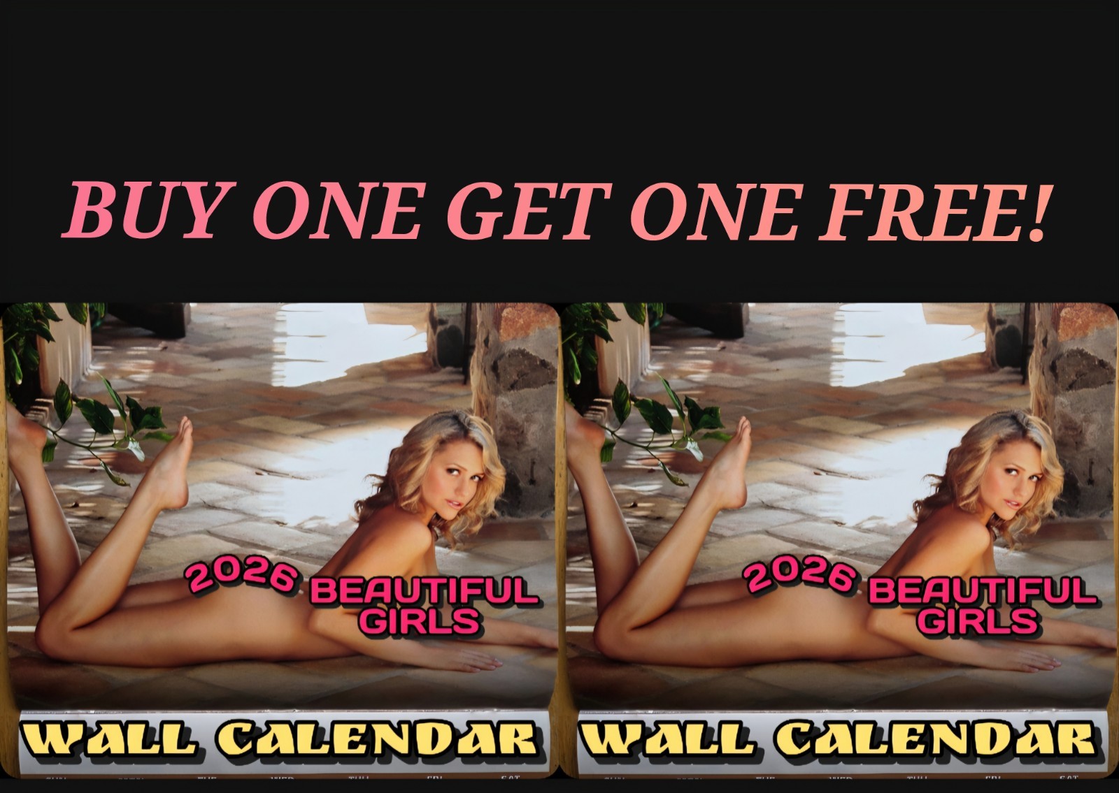 TWO 2026 Beautiful Girls Wall Calendars  w/ MINOR CREASES