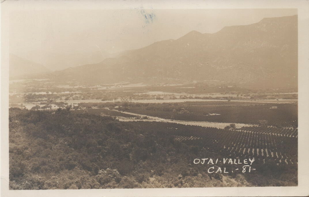 RPPC Vintage Postcard OJAI VALLEY Calif-81 EKC Aerial View of Valley c.1939-1950
