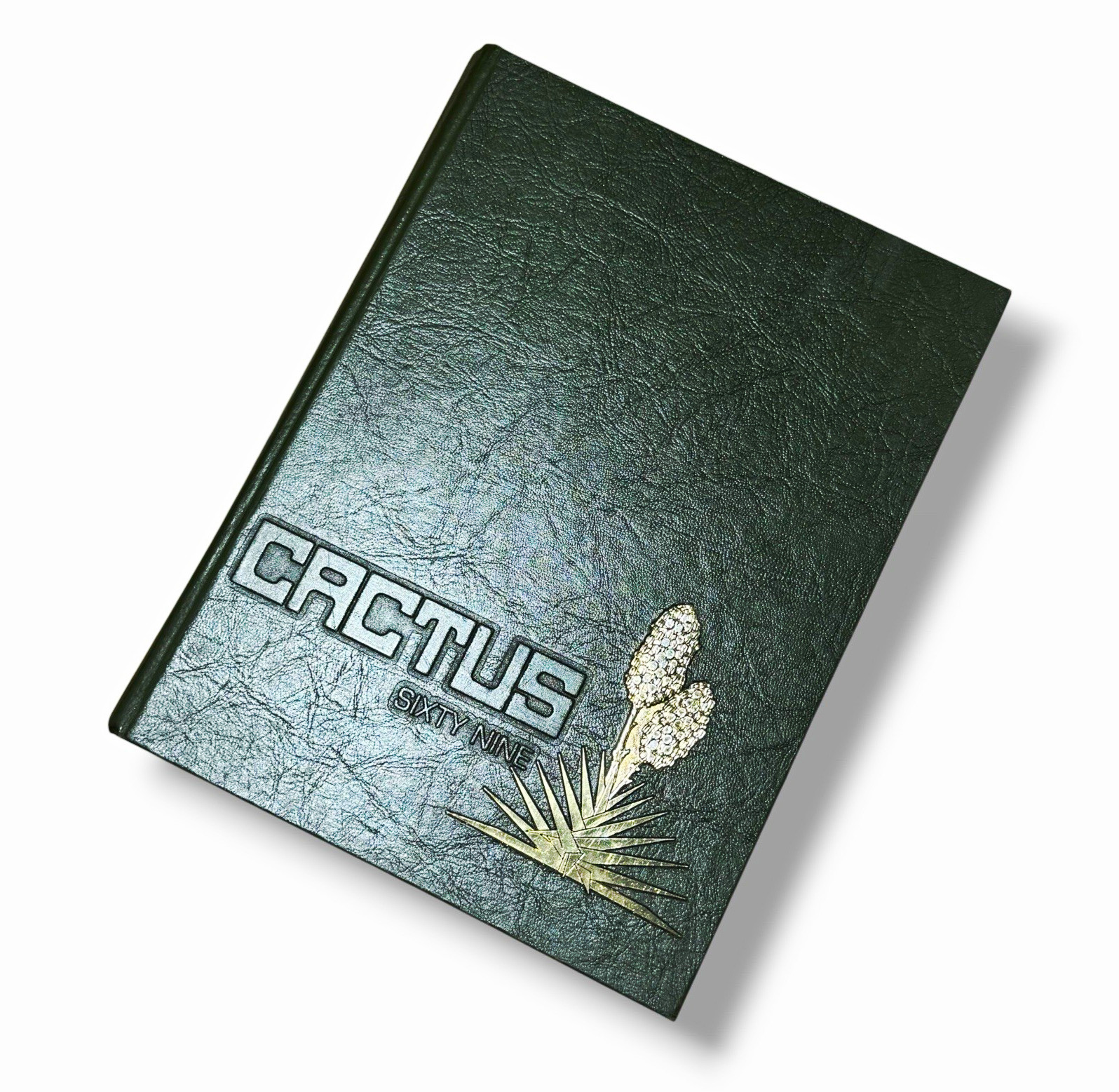 1969 Cactus University of Texas Austin UT Yearbook Longhorns Football Vintage 1969 Cactus University of Texas Austin UT Yearbook Longhorns Football Vintage