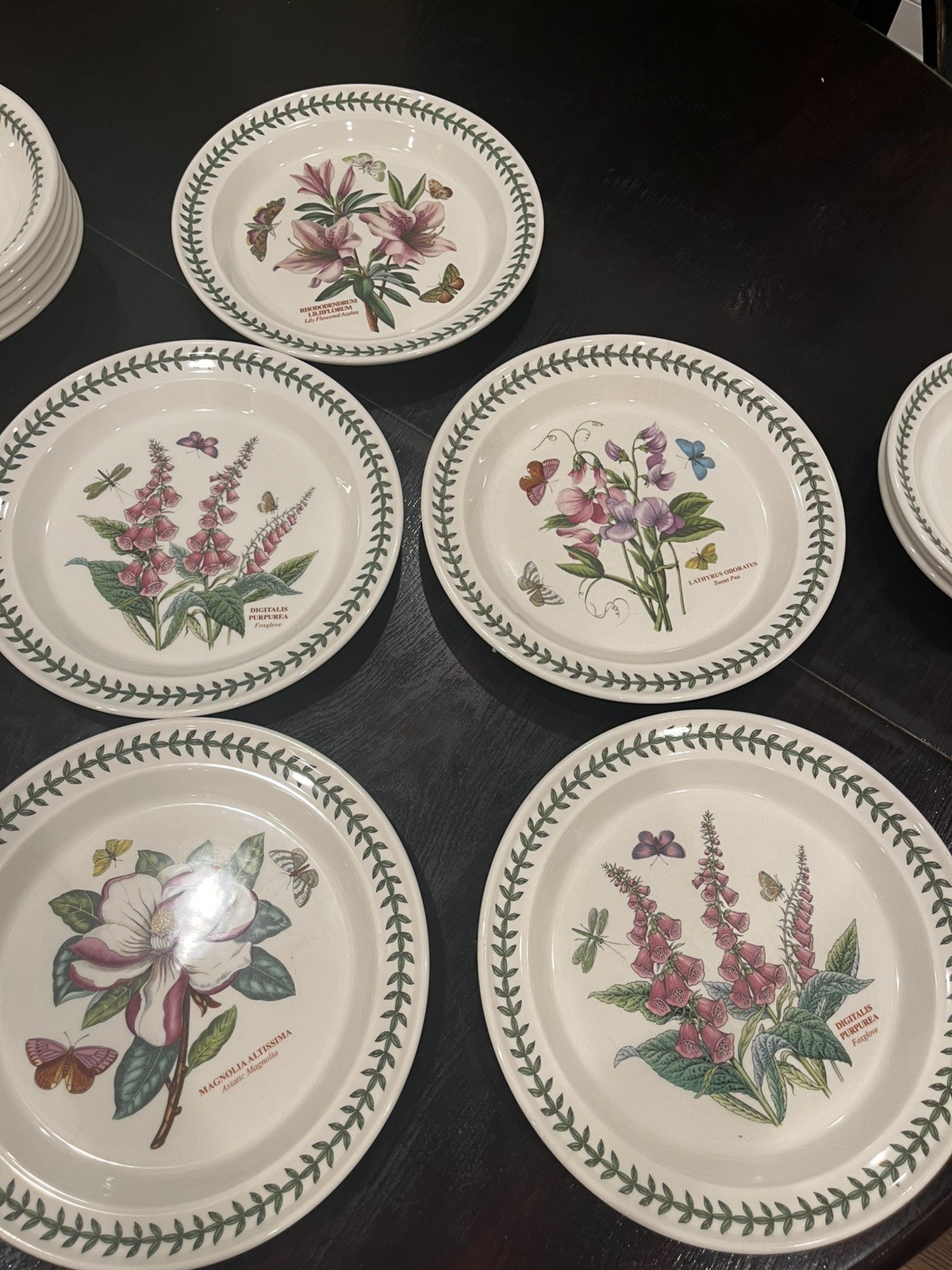 Portmeirion Botanic Garden Foxglove Salad Plate 14 pieces vintage