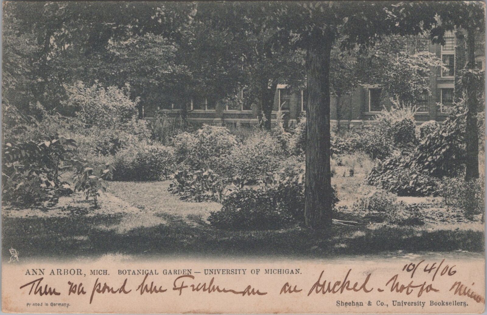 Botanical Garden Ann Arbor University of Michigan 1906 Tucks Postcard to Manila