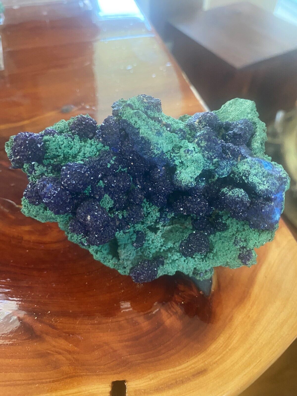 Malachite with Azurite Botrydial Crystals @ 10 x 6 cent. UNIQUE SPECIMEN