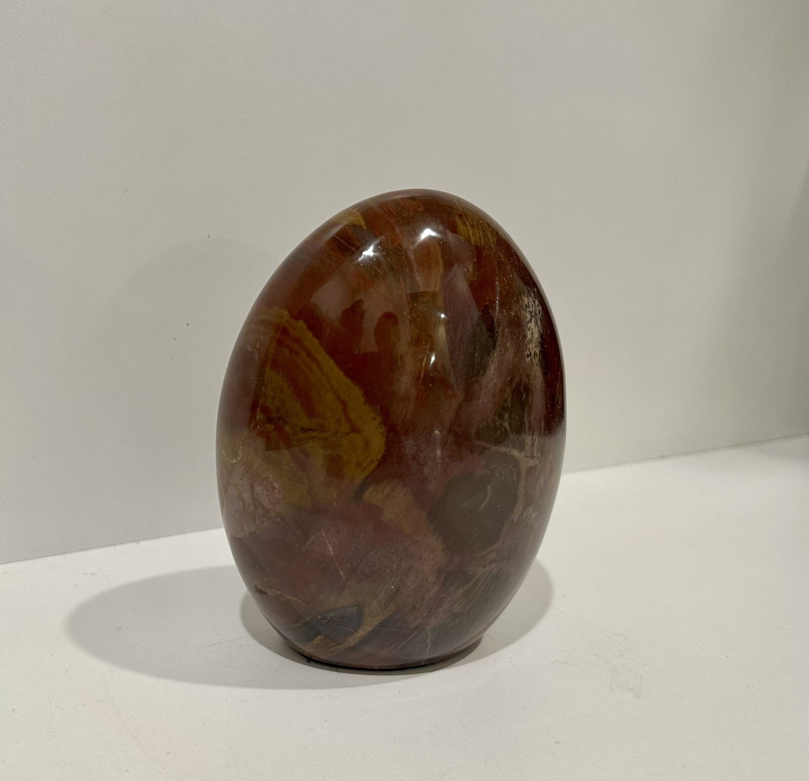 Petrified Wood Hand Polished Oval From Arizona USA Sphere Fossil Rock AZ 3 lb