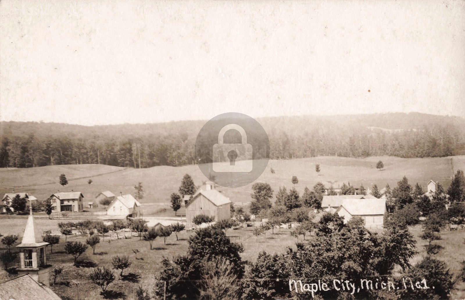 Bird's-Eye View Maple City No.1 MI Michigan RPPC Photo Postcard COPY
