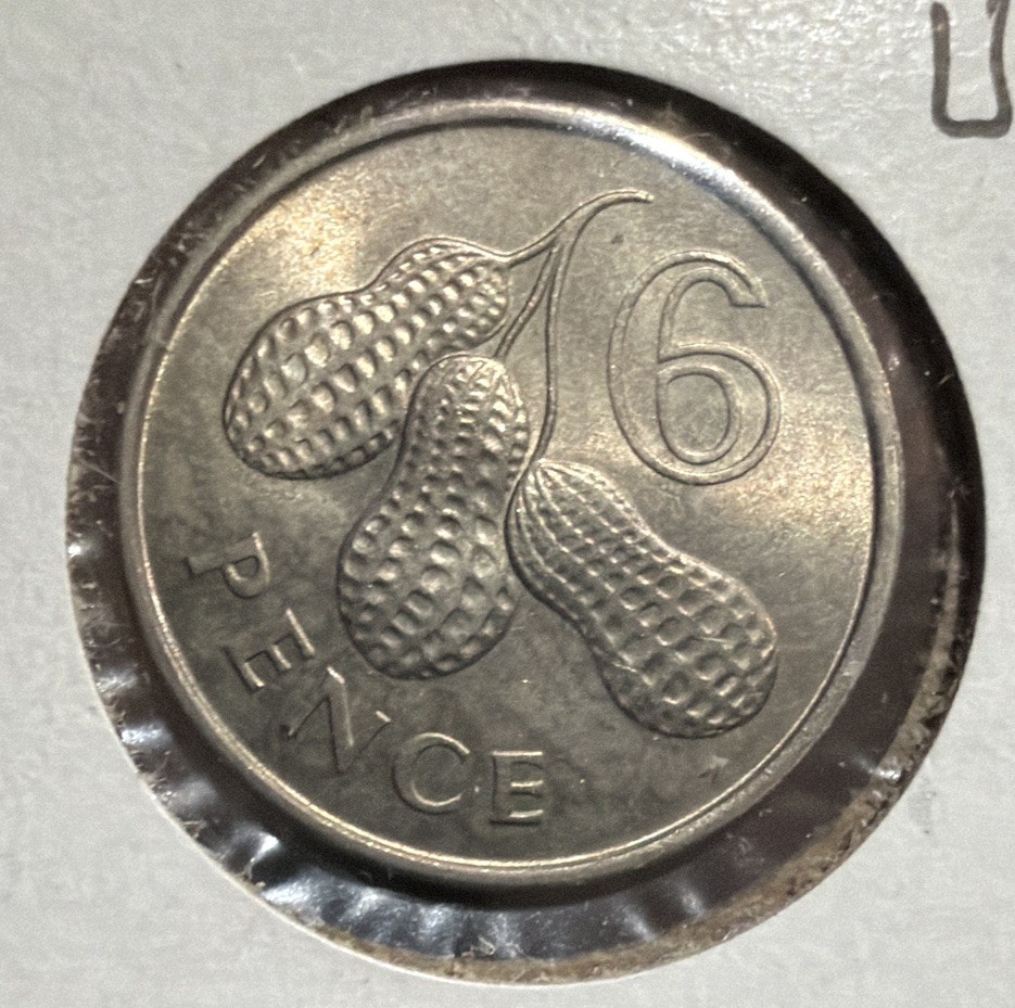 1966 Gambia Six Pence 6 Pence UNCIRCULATED Copper Nickel Coin-19.5MM-KM#3