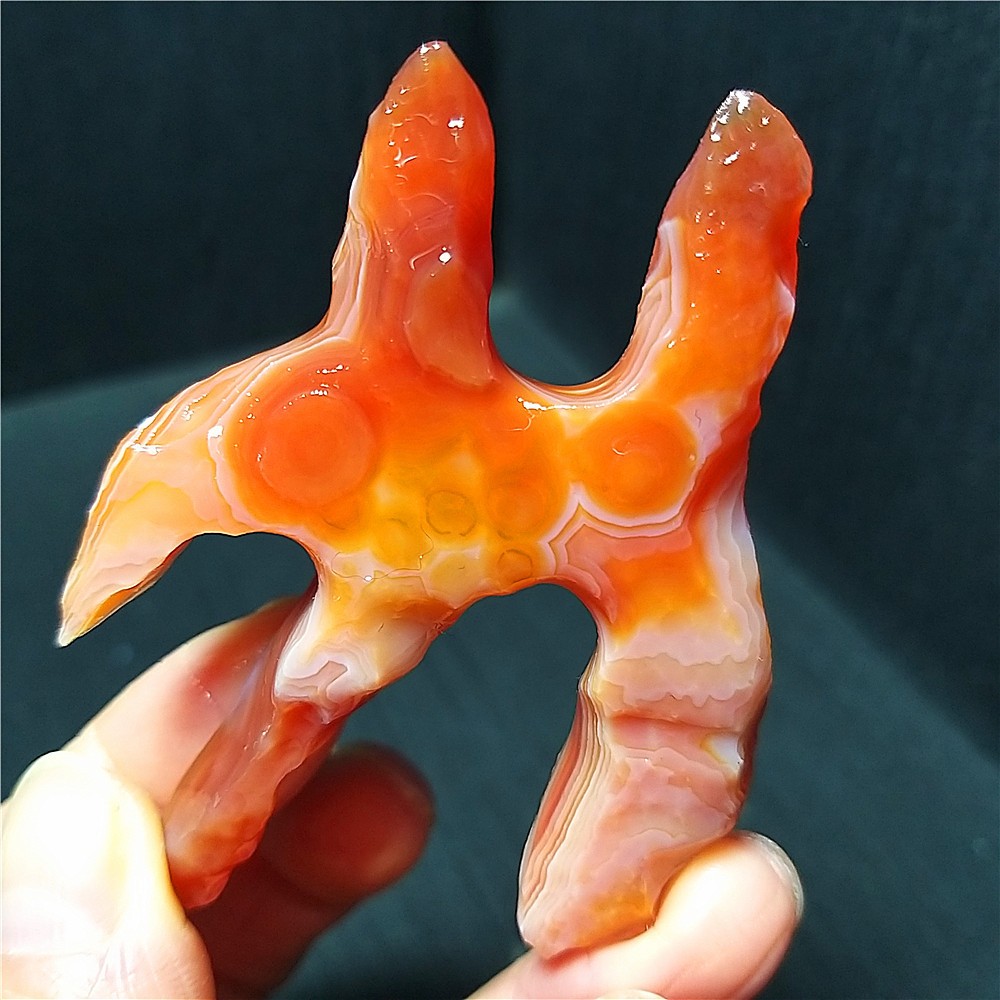 Rare 34.5G Natural Gobi Agate Eyes Agate/stone Madagascar A4571