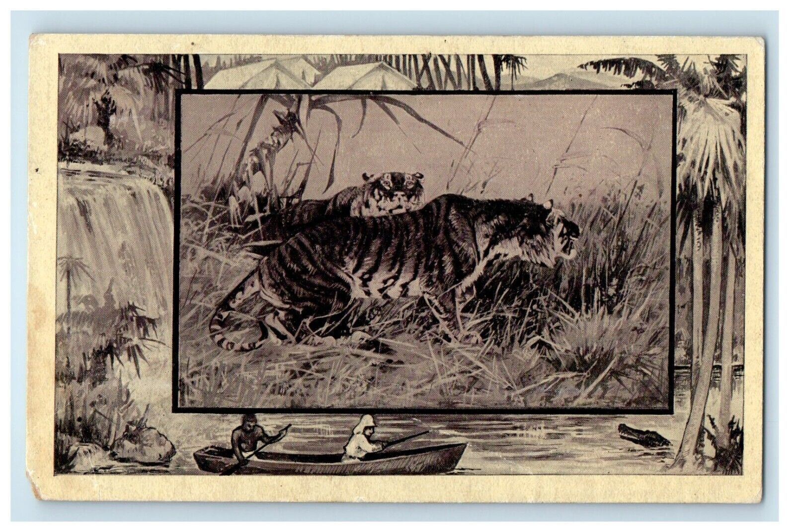 c1930's African Tiger Zoo Art Hunting Canoe Chicago Illinois IL Vintage Postcard