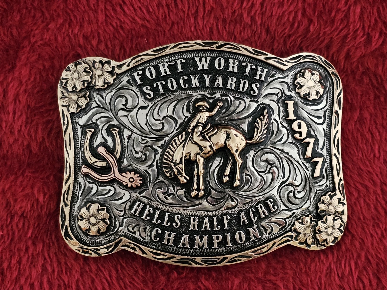 Bronc Riding Rodeo Trophy Buckle☆1977☆X~Treme  Champion☆Hells Half Acre☆Rare☆156
