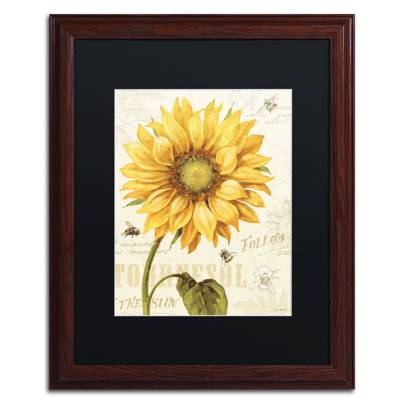 Trademark Fine Art Under The Sun I Black Matted Wood Frame Lisa Audit 16x20 Trademark Fine Art Under The Sun I Black Matted Wood Frame Lisa Audit 16x20