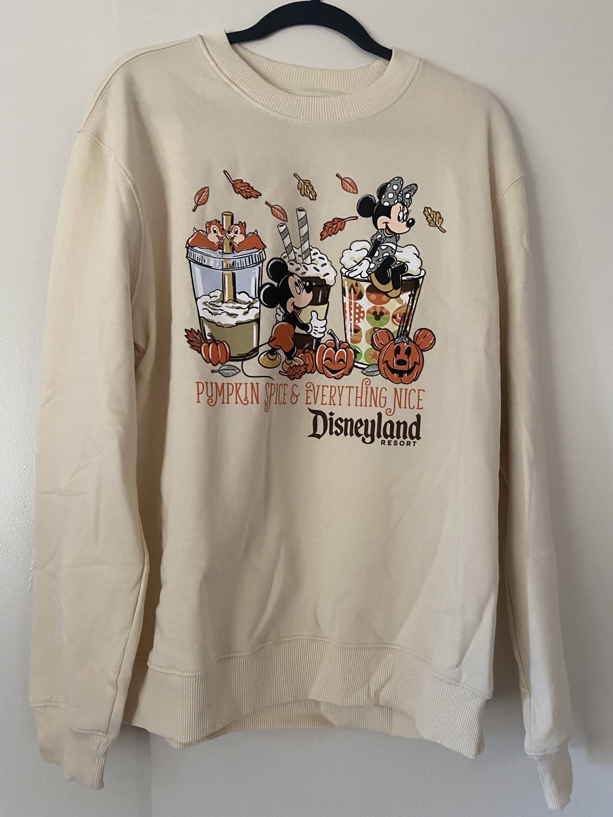 Disneyland Mickey/Minnie Fall \
