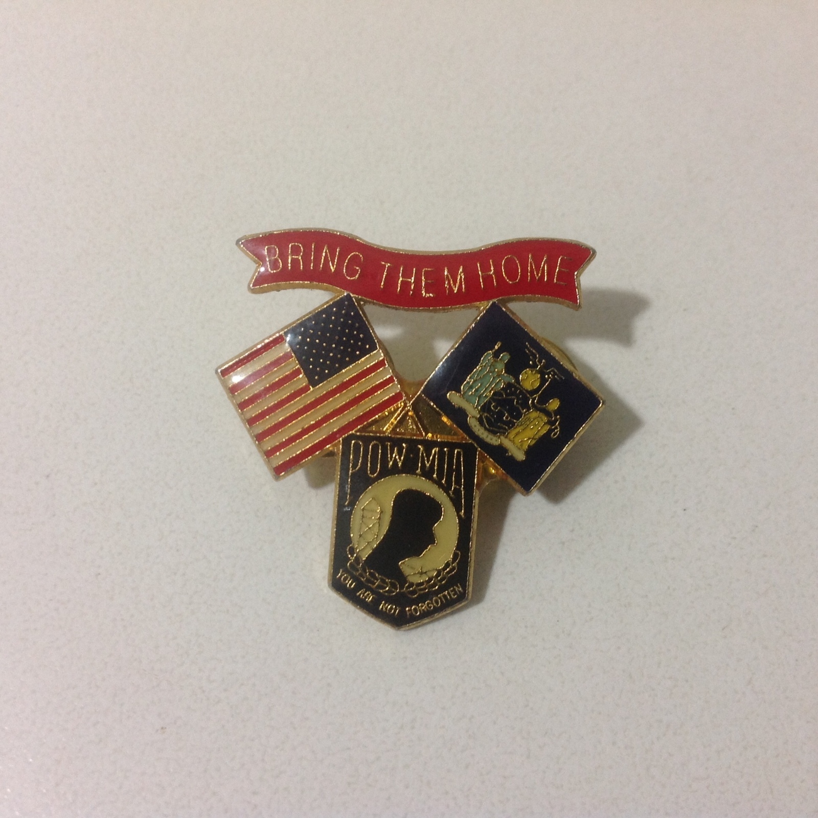  POW - MIA Bring Them Home / You Are Not Forgotten Pin
