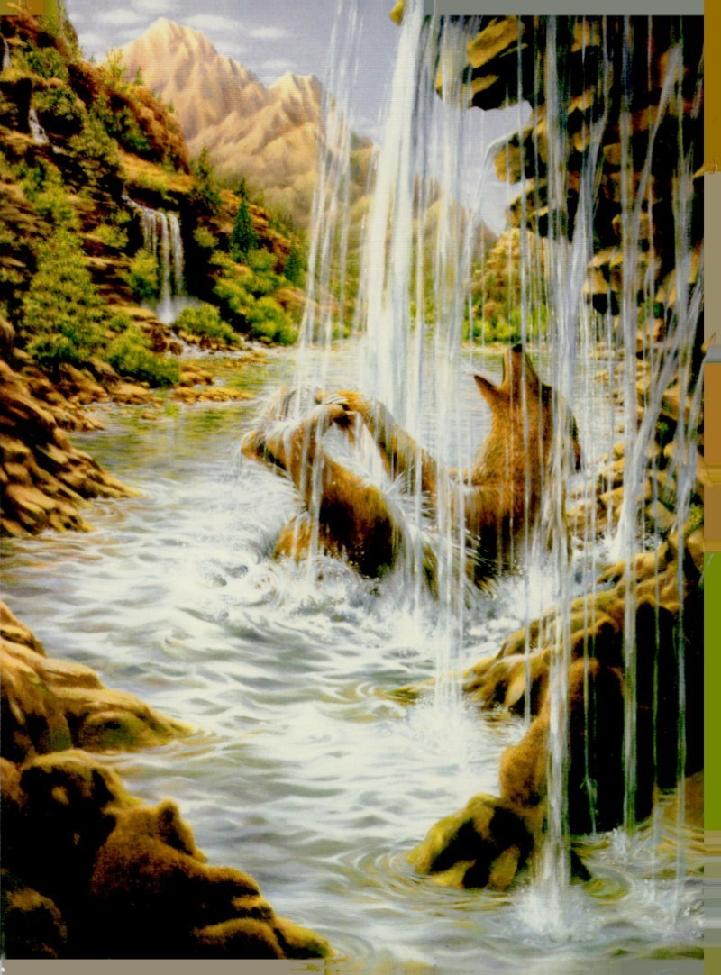 VTG Splish Splash Leanin\' Tree BIRTHDAY Greeting Card +Env Bear Steve Kushner