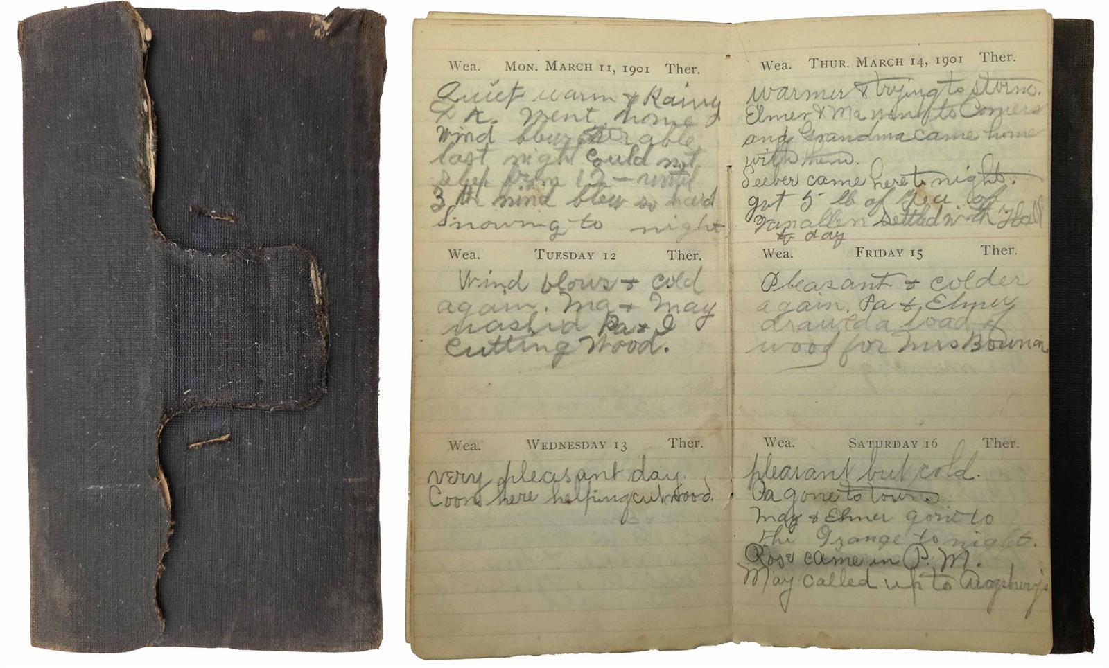 1901 antique DIARY watertown ny JANE L STEVENS FARM LIFE GRANGE WEDDING HISTORY
