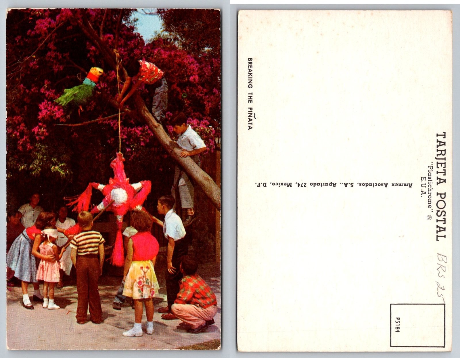 Breaking The Piñata Children Party Mexico City Mexico Postcard