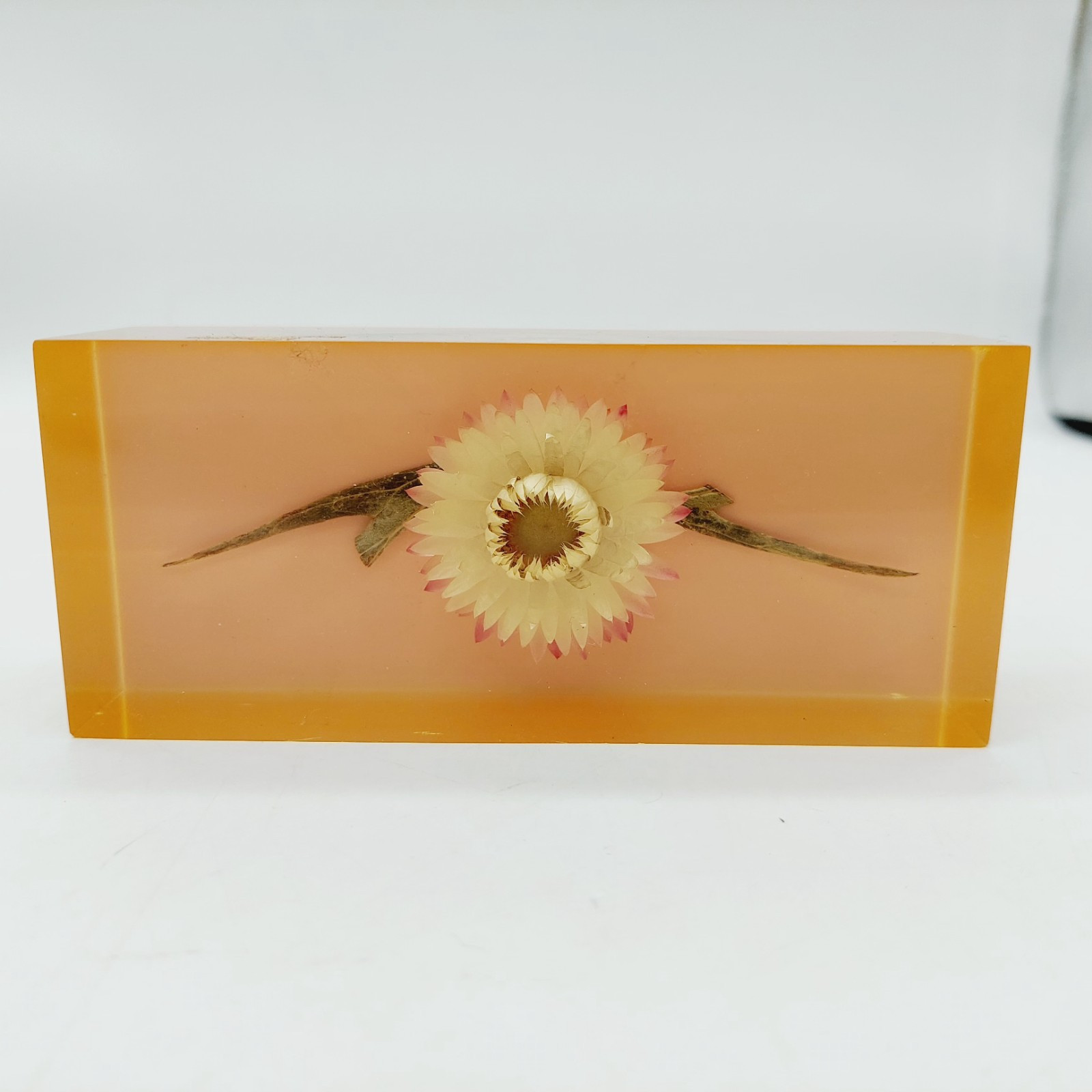 Lucite Rectangle Paperweight Dried Floral Made In Kenya Vintage 