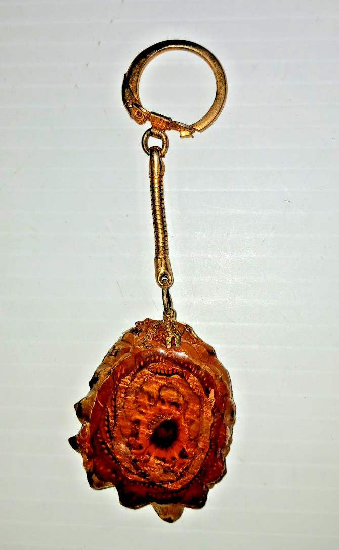 Vintage Third Eye Pinecone Keychain