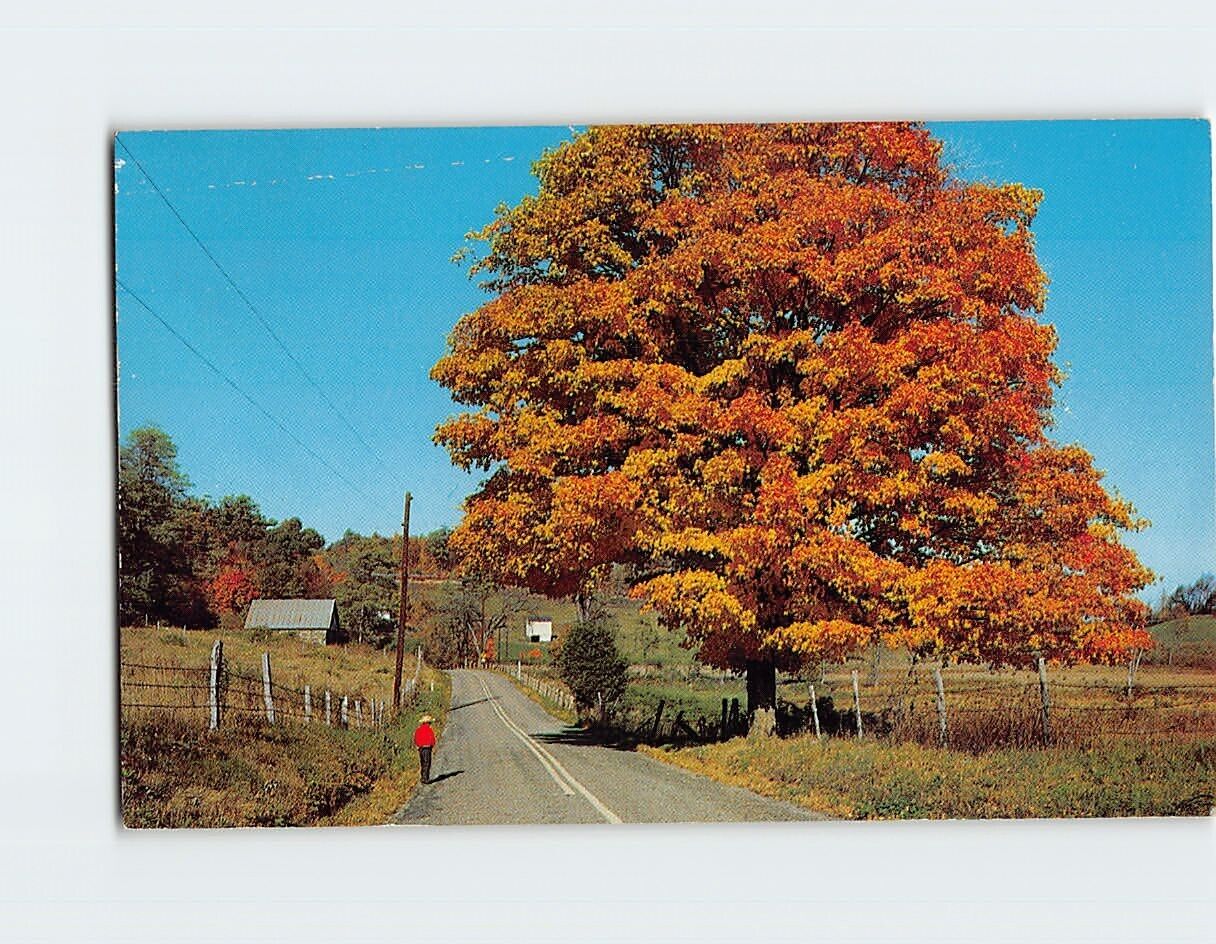Postcard A typical New Jersey-Pennsylvania Autumn afternoon