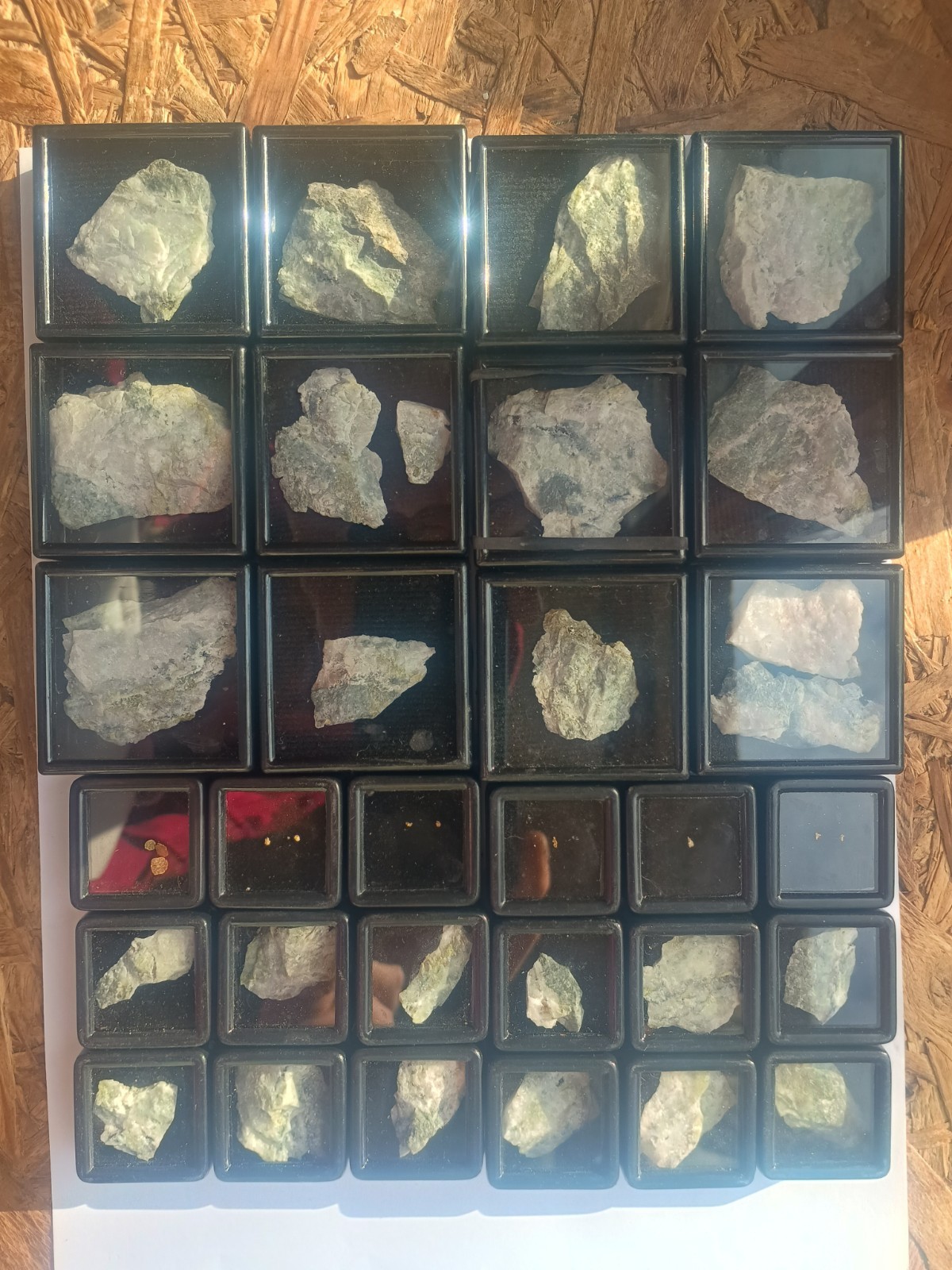 Lot 26 Natifos Bears on Quartz +10 French Gold Nuggets Morbihan Lot 26 Natifos Bears on Quartz +10 French Gold Nuggets Morbihan