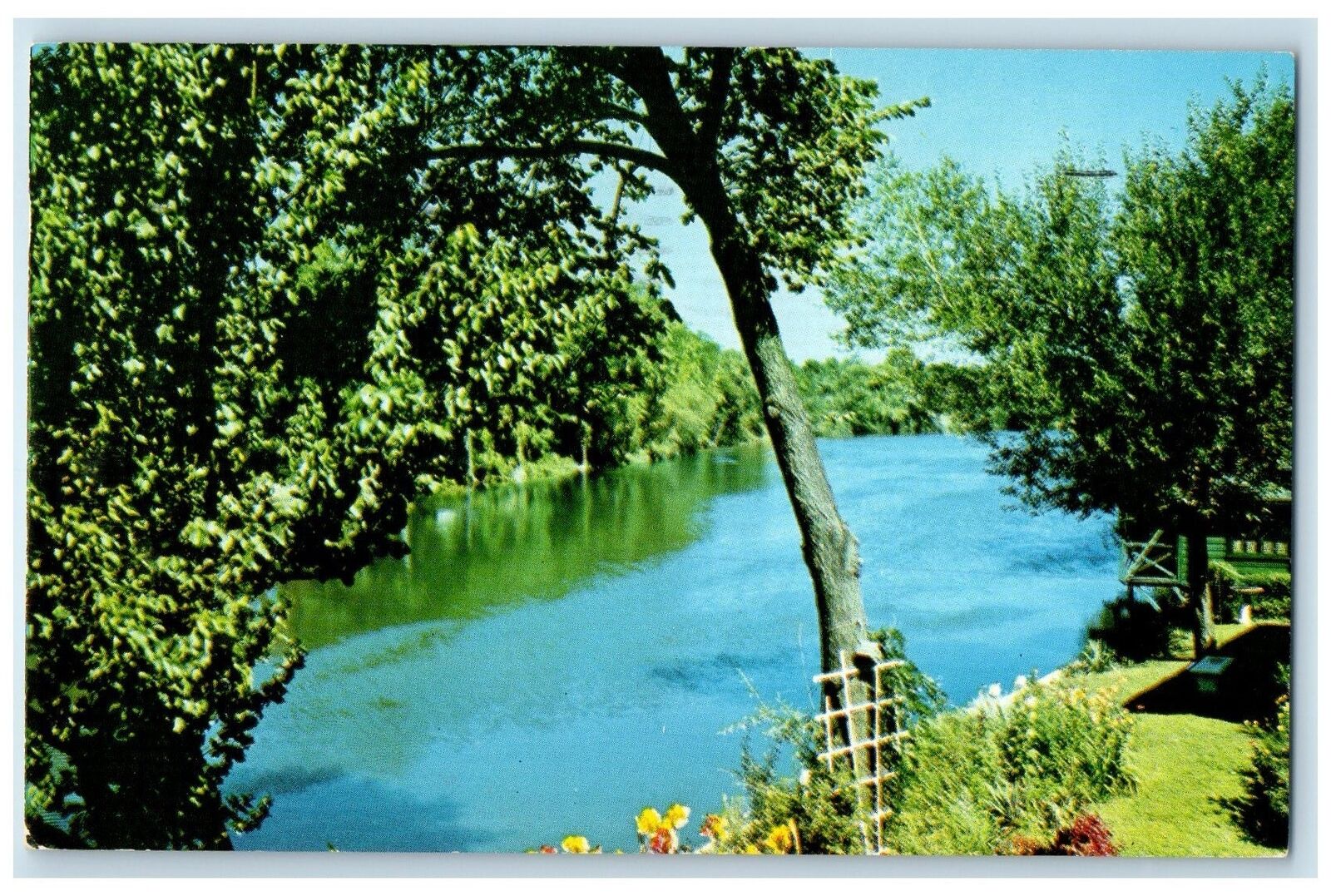 1961 Scenic View St. Joseph River Trees Flowers Elkhart Indiana Posted Postcard