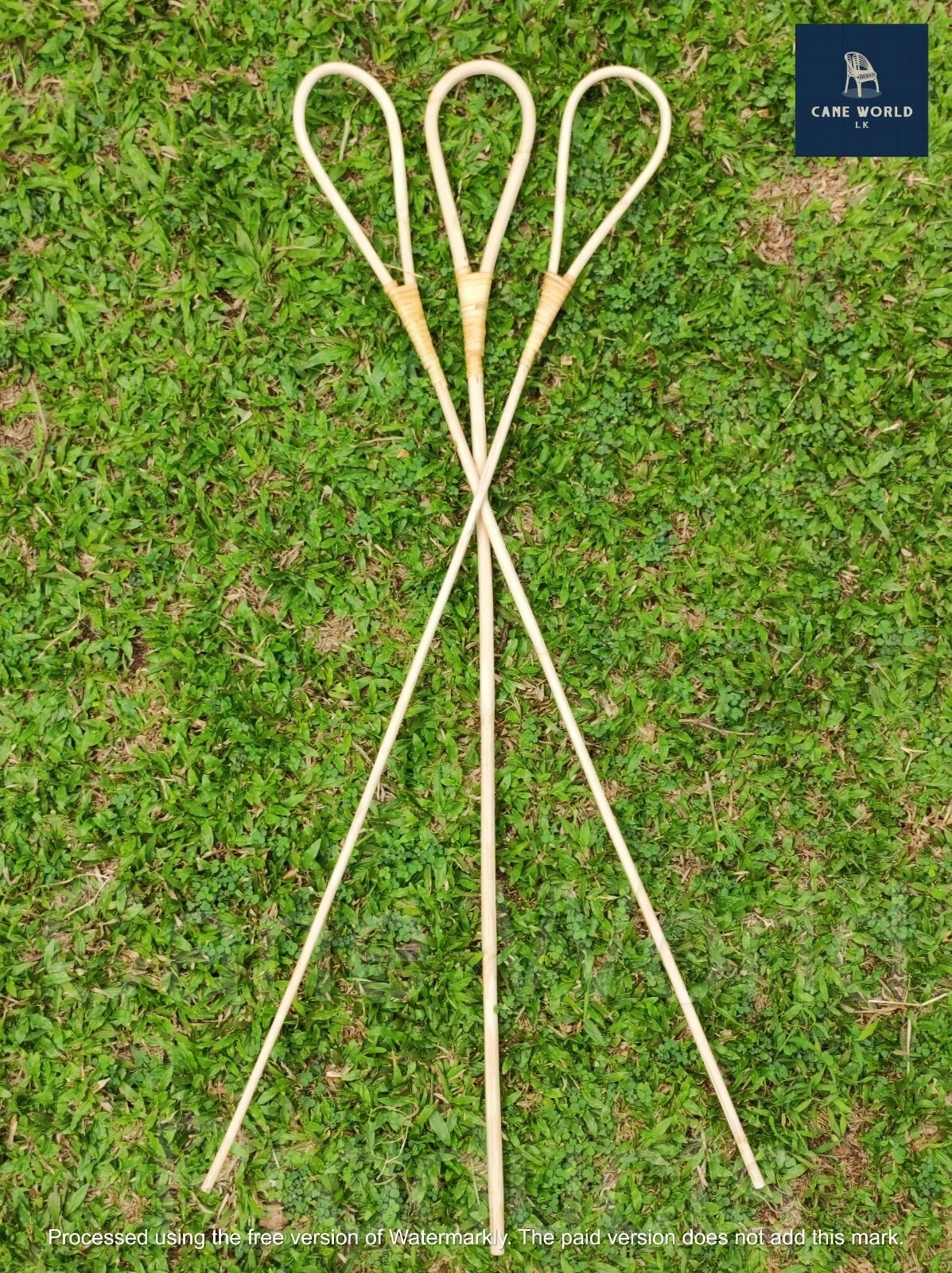 2pc Rattan Cane Scholastic Punishment sticks High Quality (size Big 0.7 - 1 cm)