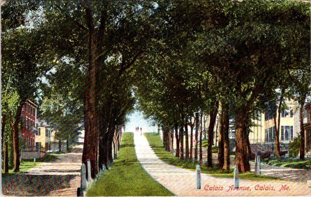 1907, Calais Avenue, CALAIS, Maine Postcard 1907, Calais Avenue, CALAIS, Maine Postcard