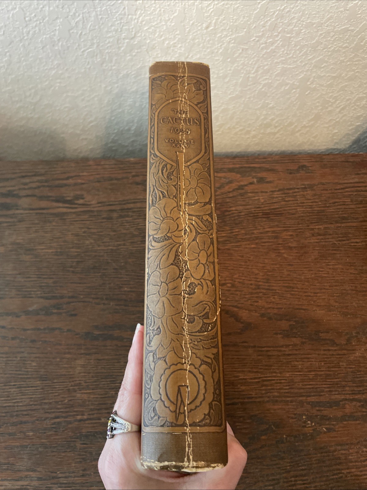 The Cactus 1928 University Of Texas Annual Yearbook Vol. XXXV 35
