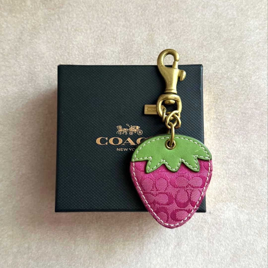 Coach signature strawberry bag charm keychain pink green canvas leather