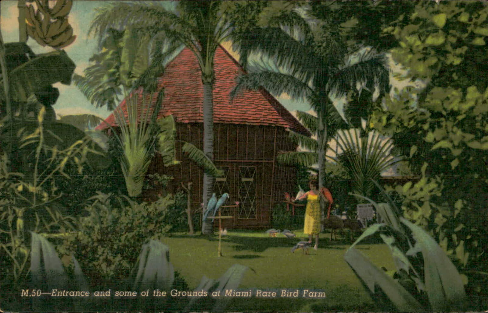 Postcard: M.50 Entrance and some of the Grounds at Miami Rare Bird Far