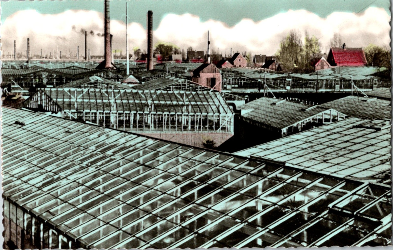 Rooftop View Greenhouses Smoke Stacks Aalsmeer Netherlands Tinted RPPC Postcard Rooftop View Greenhouses Smoke Stacks Aalsmeer Netherlands Tinted RPPC Postcard