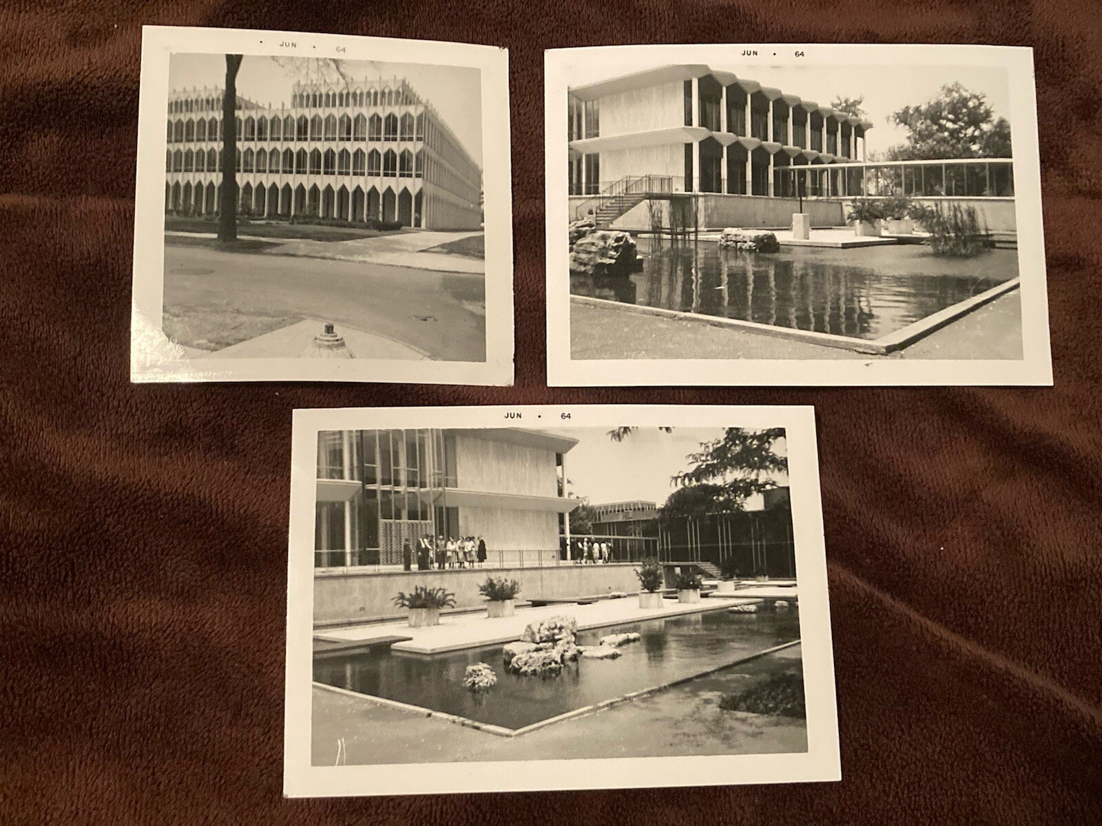 1964 WAYNE STATE UNIVERSITY WSU - Detroit, Michigan - Vintage Photos - Lot of 3