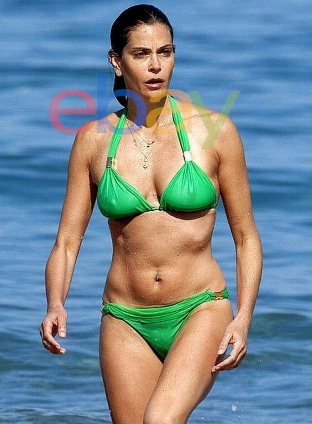 Teri Hatcher Gorgeous Actress 8x10 Glossy Photo