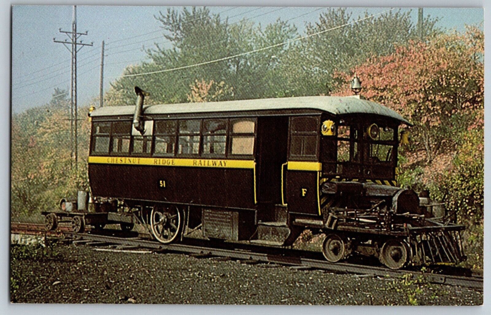 Pennsylvania - Mack Rail Bus - Chestnut Ridge RR #51 Train - Vintage Postcard