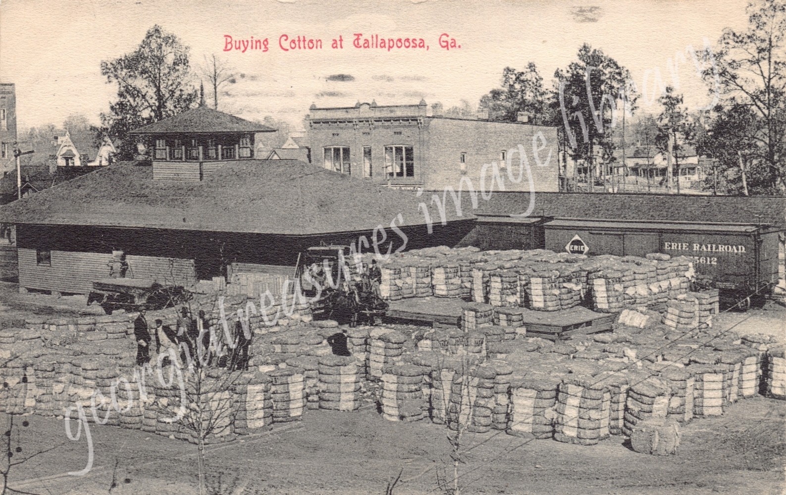 GA~GEORGIA~TALLAPOOSA~BUYING COTTON AT TALLAPOOSA GA~RAILROAD WAREHOUSE~PM 1912