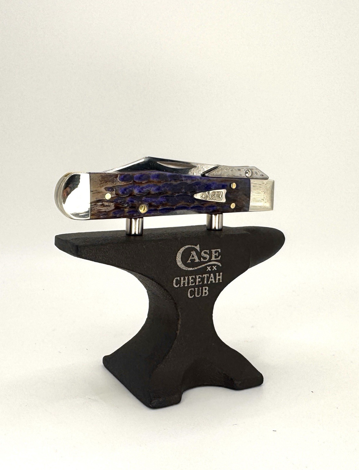 Case XX Cheetah Cub Custom Engraved Anvil Display Holder Paper Weight