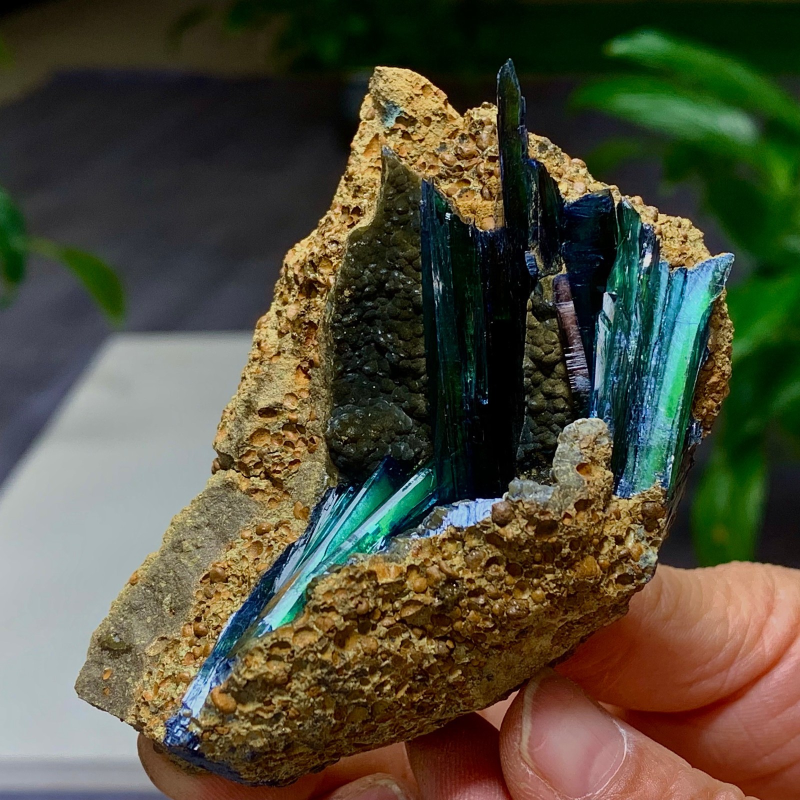 172G Natural Vivianite ludlamite Quartz Crystal Mineral Samples /Brazil