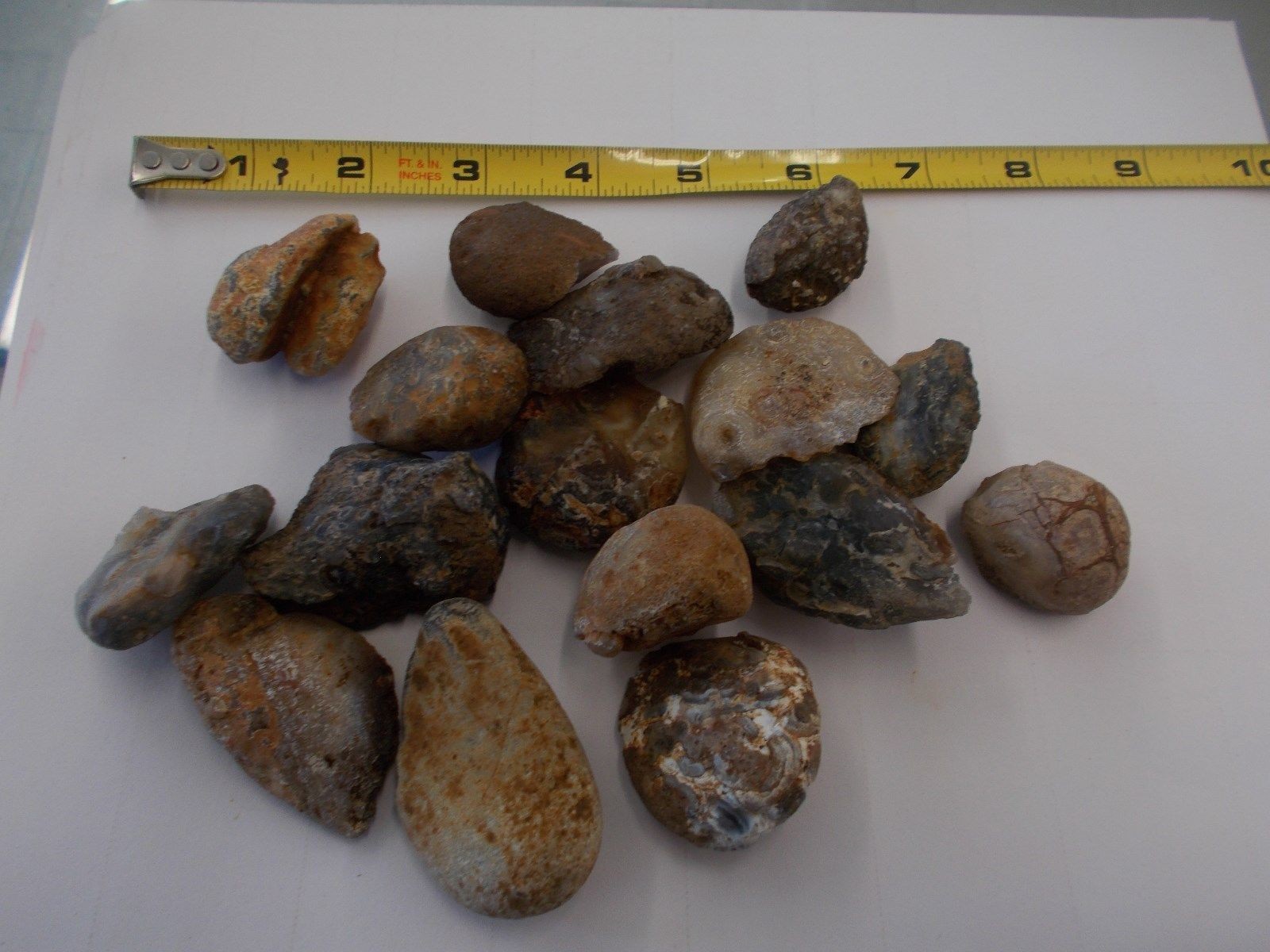 One Pound Oco Agate Geodes From Brazil -Small 14-17 Per Pound