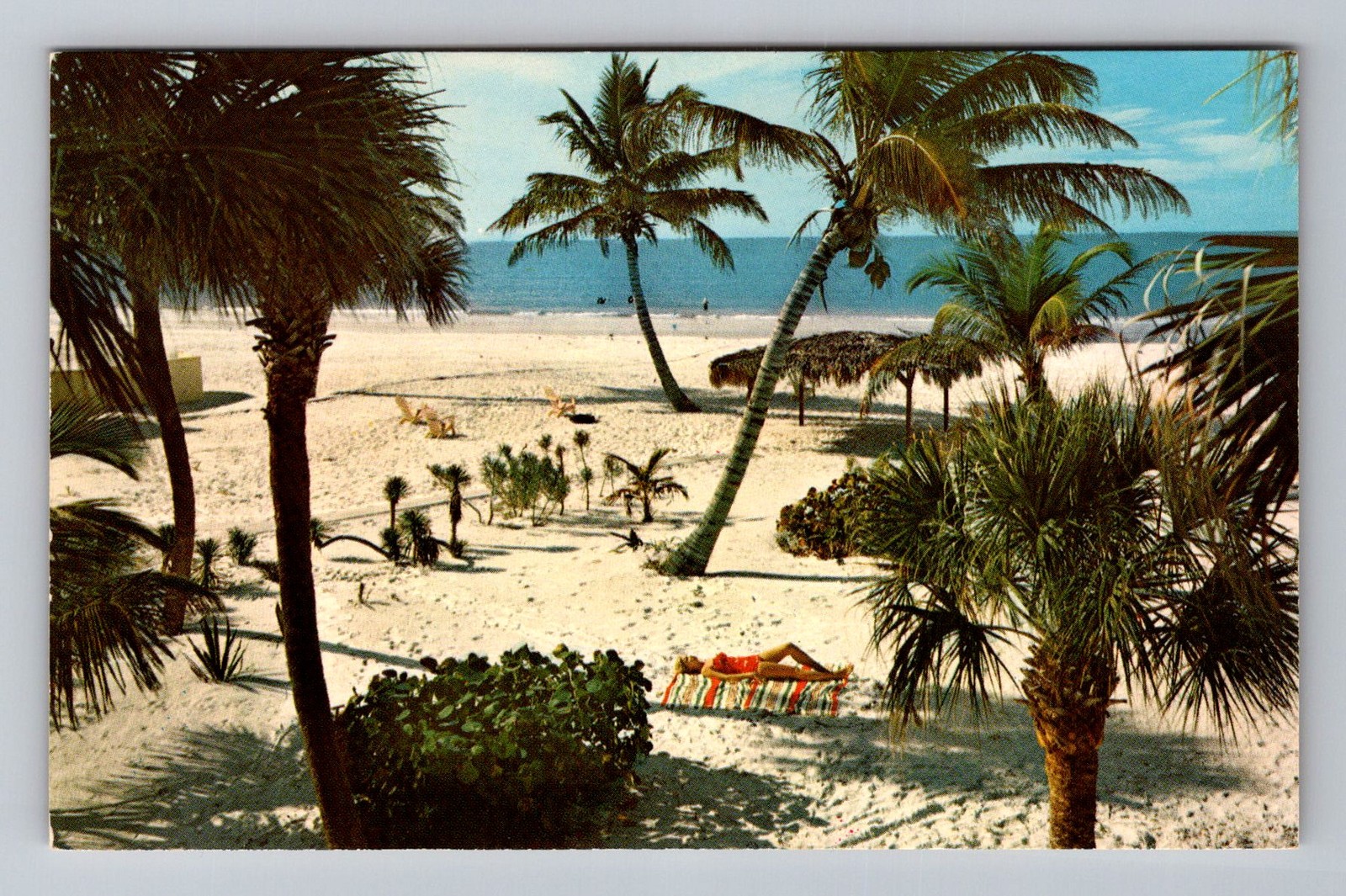 St. Petersburg Beach FL-Florida, Beach with Palm Trees, Postal Vintage Postcard