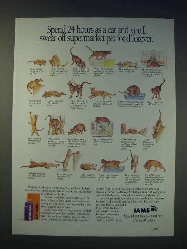 1989 Iams Pet Food Ad - Spend 24 hours as a cat and you\'ll swear off