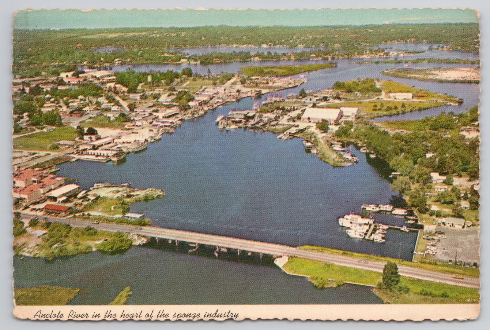 Aerial View Anclote River Sponge Industry Tarpon Springs Florida Postcard